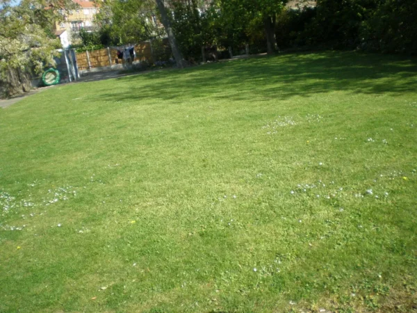 Mornington Road
